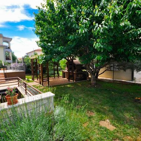 Ana M Apartments Novigrad  Екстер'єр фото