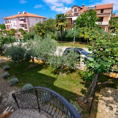 Ana M Apartments Novigrad  Екстер'єр фото