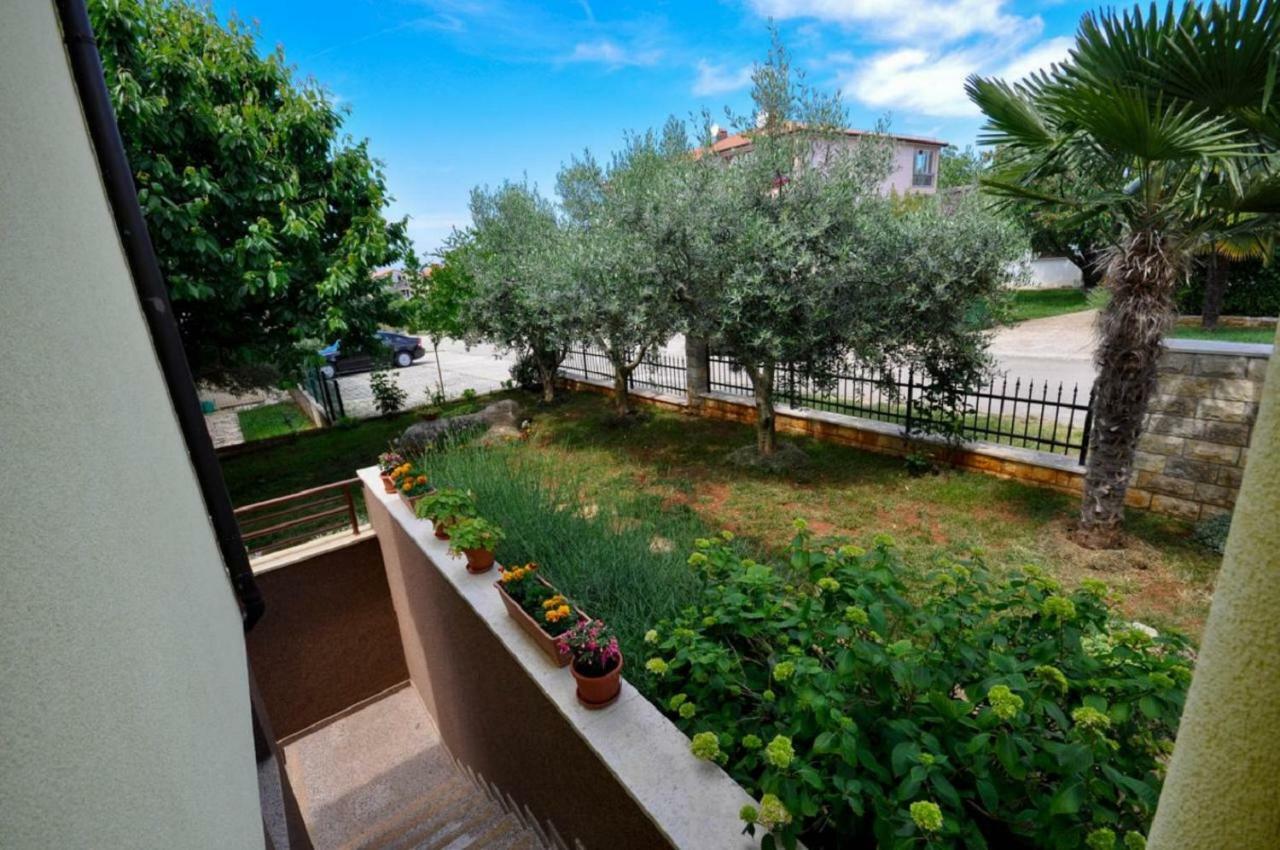 Ana M Apartments Novigrad  Екстер'єр фото